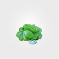Green bath pouf on a light gray background