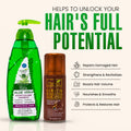 Hair Care & Repair Kit